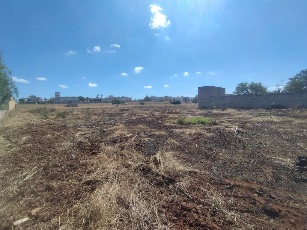 Giano Group Immobiliare